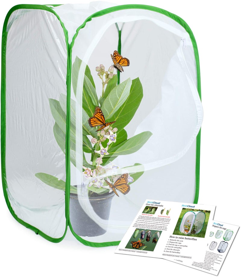 RESTCLOUD 24" Insect and Butterfly Habitat Monarch Butterfly Enclosure for Caterpillars Pop Up 24 Inches Tall Pack of 2 - Image 4